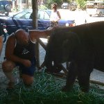 karl auf Partnersuche in Horn